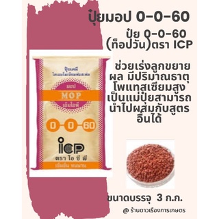 ปุ๋ย 0-0-60 (มอป) ตรา ICP ท็อปวัน 3 ก.ก. ใส่ถุงซิปล็อกกันชื้น ใช้เป็นแม่ปุ๋ยในการผสมสูตรปุ๋ย ใช้ใส่เร่งผล ขยายขนาดผล