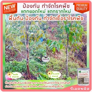 บีเอสพลัส50G กำจัดโรคเน่าทุเรียน พืชทุกชนิด เชื้อราโรคพืช รากเน่าโคนเน่า ไฟทอปธอรา ใบเหลือง ใบไหม้