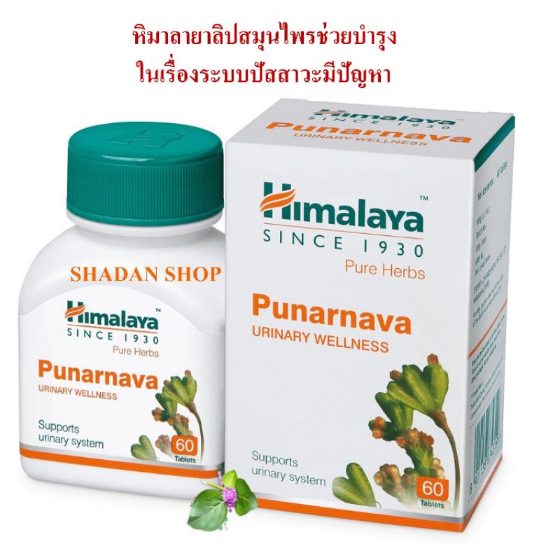 Himalaya Punarnava สมุนไพรบำรุงระบบปัสสาวะ ขนาด 60 เม็ด ราคา ถูกที่สุด ดีลบีเคเค รูปภาพหลัก
