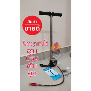 สูบแรงดันสูง สูบอัดลม PCP สูบฐานพับเกจใหญ่ พิกัดสูงสุด 4,500 psi