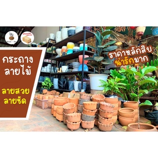 🌵ลวดลายไม้แข็งแรงทนทาน❤️กระถางต้นไม้ดินเผาใหญ่5-6นิ้วมีขาตั้งในตัว☘️ลวดลายธรรมชาติมากไม่มีตกเทรน☘️ต้นไม้ชอบกระถางดินเผา