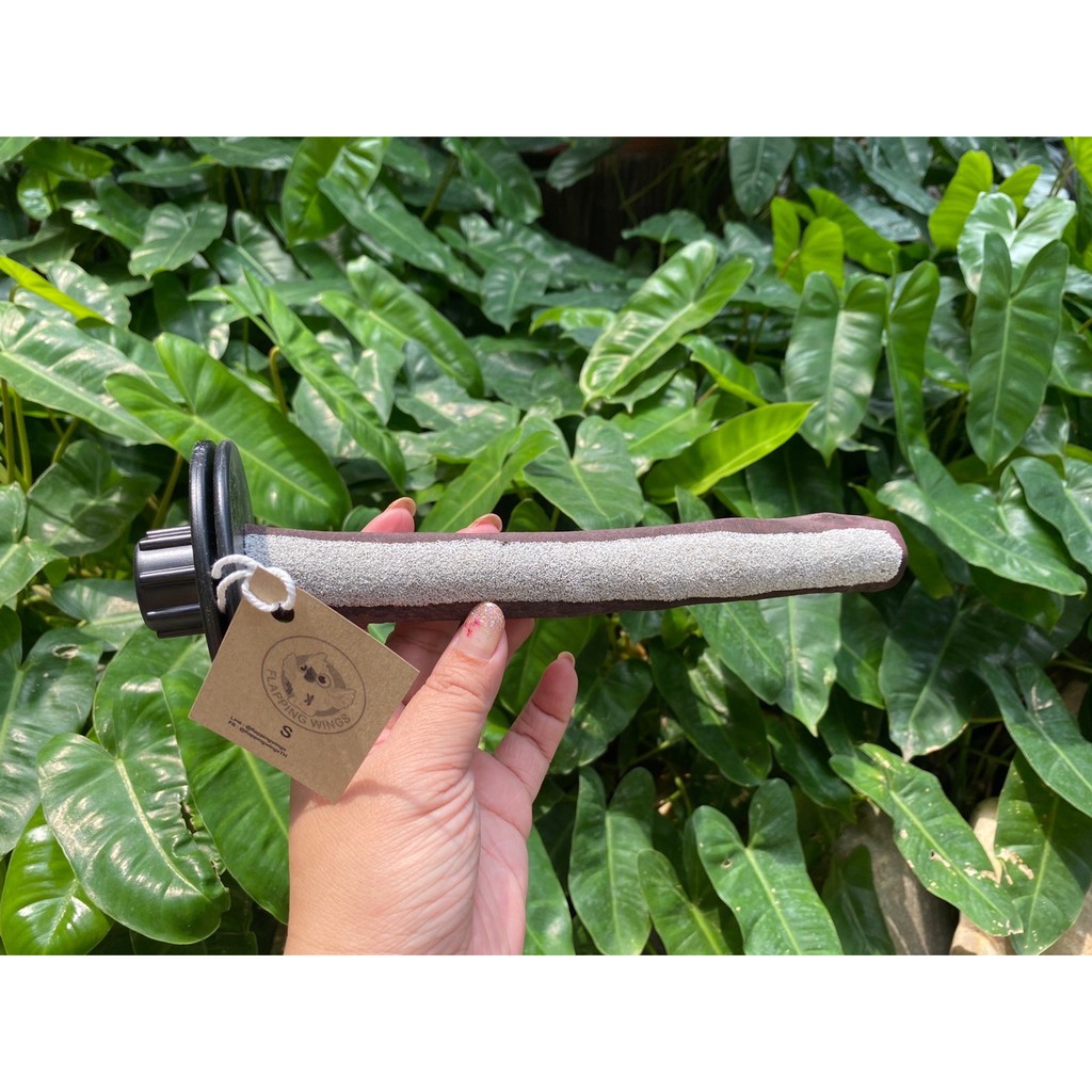 Flapping Wings คอนลับเล็บภูเขาไฟ ไม้ Manzanita