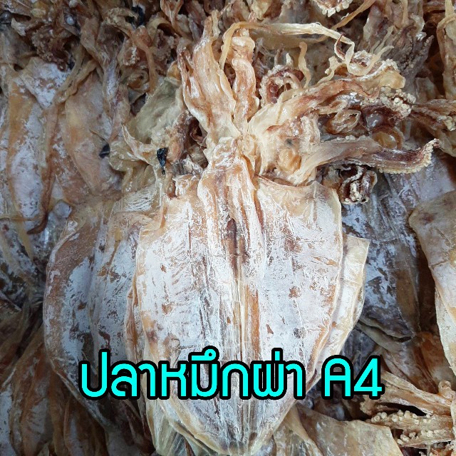 ปลาหมึกแห้ง หมึกผ่า A4 (100 กรัม, 500กรัม)