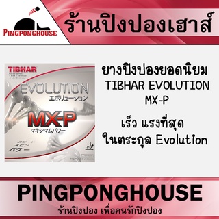 ยางปิงปอง TIBHAR EVOLUTION MX-P 2.1 ยางปิงปองยอดนิยม แรงที่สุด เร็วที่สุด ในตระกูล Evolution