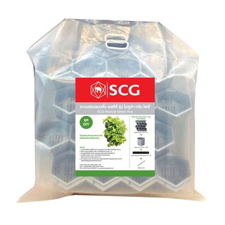 ระบบสวนแนวตั้งเอสซีจี โมดูล่ากรีน ไฮฟ์ (Modular Green Hive) แถมถุงมือผ้า 1 คู่ผ้าปิดจมูก