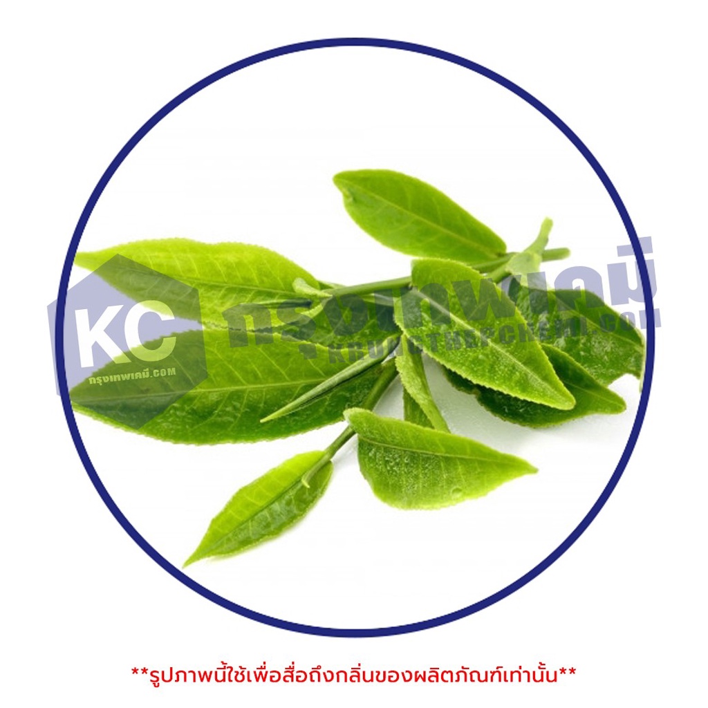 U020GT-25G Green Tea Powder Flavour / กลิ่นผสมอาหารชนิดผง กลิ่นกรีนทรี (ชาเขียว) - รูปที่ 2
