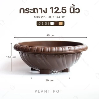 กระถางต้นไม้ 12.5 นิ้ว ทรงปากกว้าง กระถางพลาสติก เหมาะสำหรับปลูกไม้โขด กระถางทรงตื้น ระบายน้ำได้ดี Triple-p #897