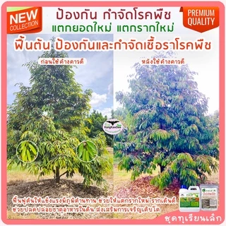 บีเอสพลัส50G กำจัดโรคเน่าทุเรียน พืชทุกชนิด เชื้อราโรคพืช รากเน่าโคนเน่า ไฟทอปธอรา ใบเหลือง ใบไหม้