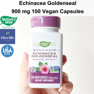 เอ็กไคนาเซีย Echinacea Goldenseal 900 mg 100 Vegan Capsules - Natures Way