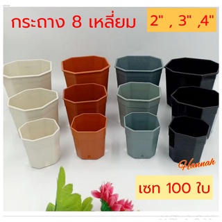 กระถางต้นไม้ 2 นิ้ว เซ็ท 100 ใบ (8เหลี่ยม) กระถางต้นไม้พลาสติก กระถางแคนตัส สีขาว สีดำ สีเทา สีส้ม