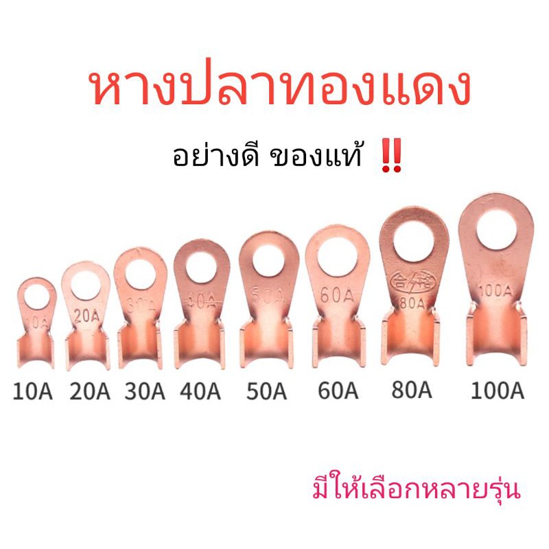 พร้อมส่ง หางปลาทองแดงแท้ ย้ำสายไฟ เกรดA อย่างหนา มีให้เลือกหลายรุ่น แบ่งขาย