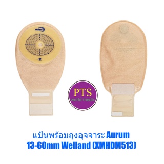 แป้นพร้อมถุงอุจจาระ Aurum 13-60mm Welland (XMHDM513) (1 ชิ้น)