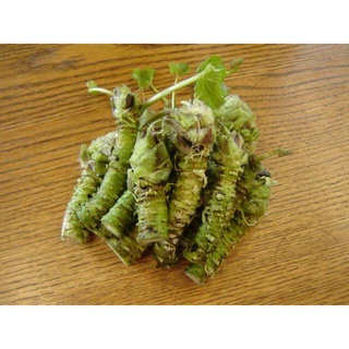 50 เมล็ดพันธุ์ วาซาบิ Wasabi Seeds มีคู่มือพร้อมปลูก อัตรางอก 80-85%