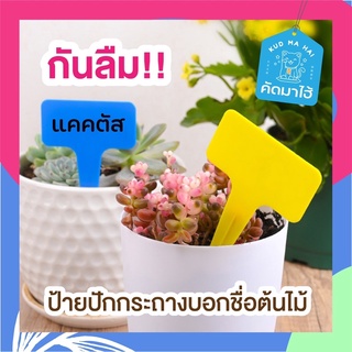 ป้ายชื่อ ต้นไม้ ป้าย Tag ต้นไม้ อุปกรณ์จัดสวน ส่งจากไทย