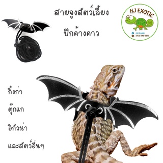 Nomoy Pet สายจูงสัตว์เลี้ยง ปีกค้างคาว