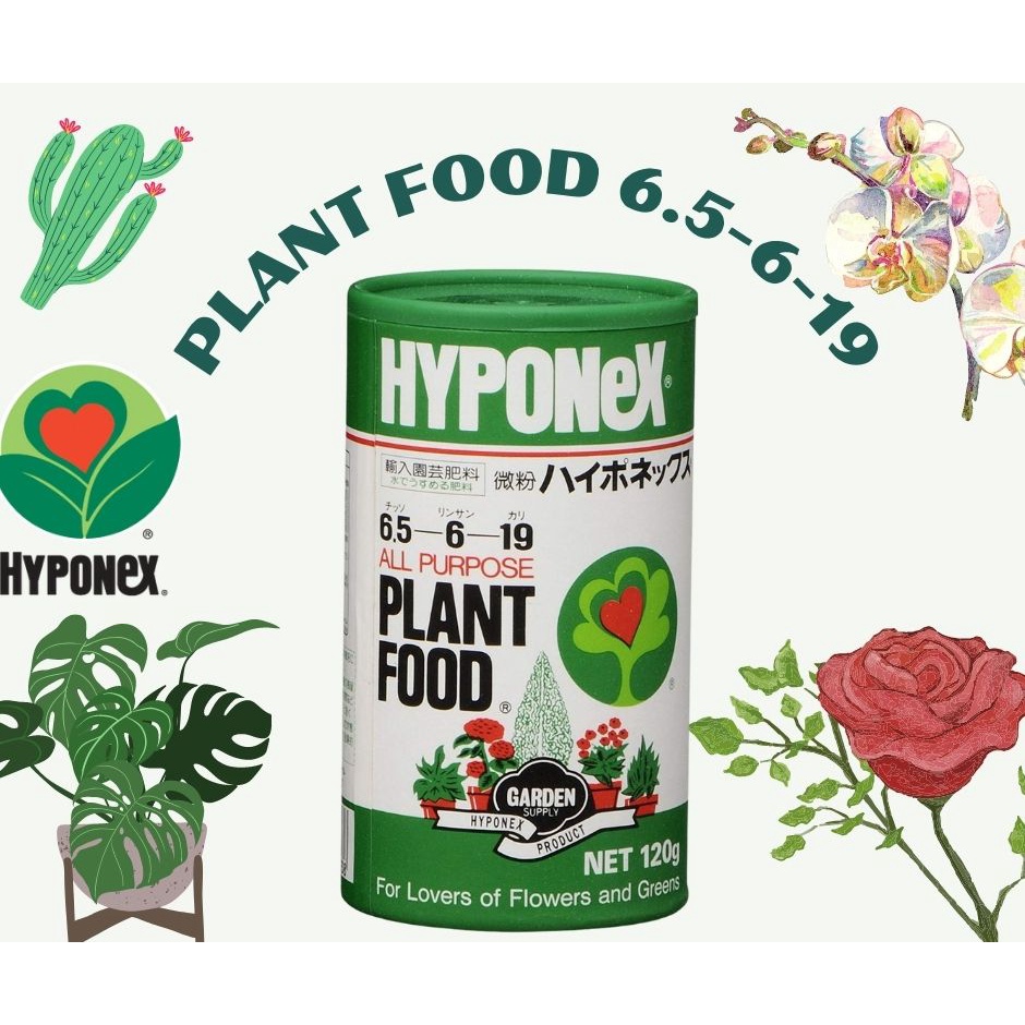 Hyponex Plant Food Powder 6.5-6-19 ปุ๋ยเทพสุดของค่ายHyponex