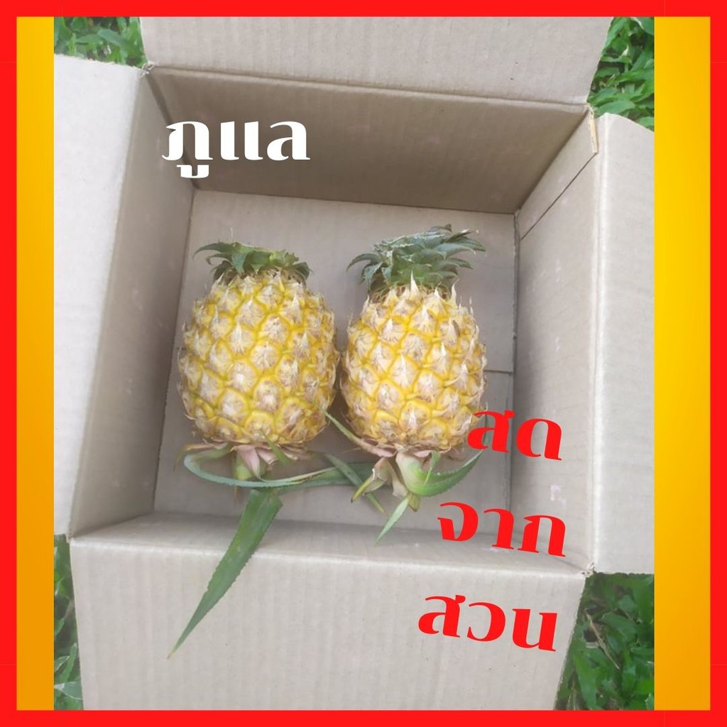 My Image 49