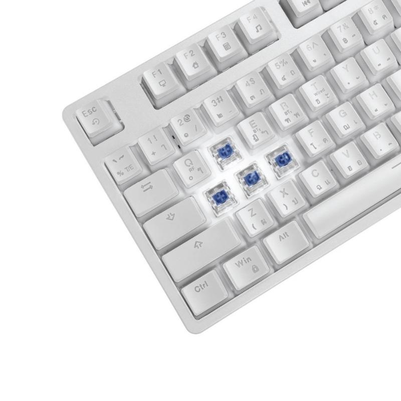 KEYBOARD (คีย์บอร์ดไร้สาย) SIGNO KB-751 NUZZON (มี2สี BLACK|WHITE) (มี2ปุ่ม BLUE/RED SWITCH) RGB LED ประกัน 2ปี