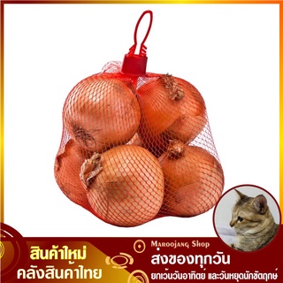 หอมใหญ่ 1000 กรัม หัวหอมใหญ่ Onion