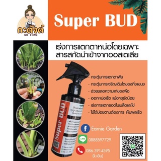 Super BUD  ผลิตภัณฑ์เร่งการแตกตา แตกหน่อ แตกยอด อ่านข้างขวดให้ระเอียดทุกครั้งก่อนใช้งาน