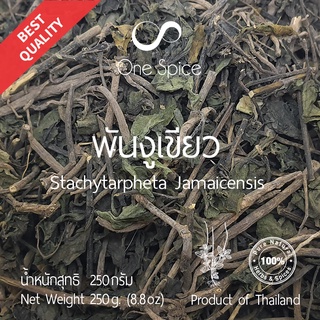 Onespice พันงูเขียว 250 กรัม | สมุนไพร ต้น หญ้าพันงูเขียว แห้ง | Stachytarpheta Jamaicensis / Brazilian Tea