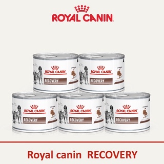 &lt;!!แพ็ค 5 กระป๋อง!!&gt;Recovery Cats/Dogs อาหาสุนัข อาหารแมว ป่วย พักฟื้น พลังงานสูง โลหิตจาง (195 กรัม X5 กป.)