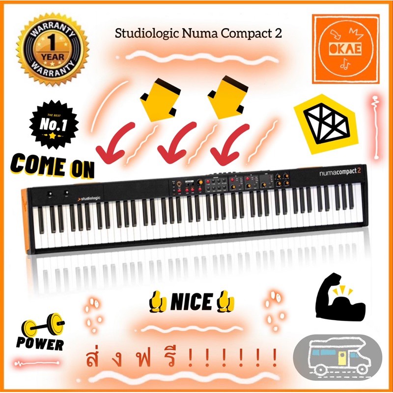 Studiologic Numa Compact 2 คีย์บอร์ด