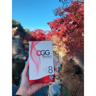 Cgg เผาไขมันติดสปีด ลดเร่งด่วน / หมดอายุ ปี 2022