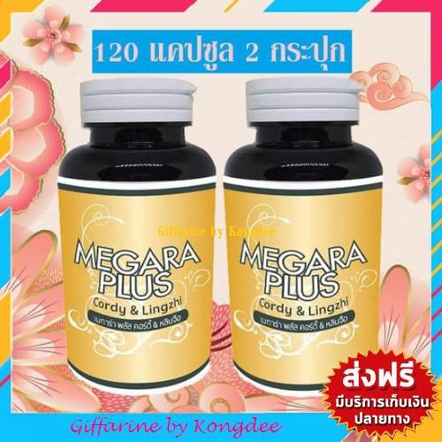 ถั่งเช่าเมการ่า Megaraplus ถั่งเช่า-ถั่งเฉ้า Cordy & Lingzhi ของแท้ 100% 120 แคปซูล 2 กระปุก