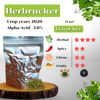 Hallertau Hersbrucker Hops GER (1oz) Crop years 2020 (บรรจุด้วยระบบสูญญากาศ)