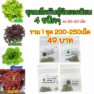 เมล็ด​พันธุ์​ผัก​รวม​ยอดนิยม (1ชุดมี 4ชนิดรวม​ 200-250เม็ด)​