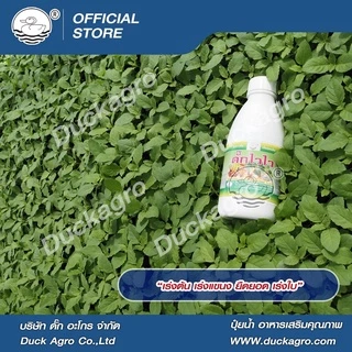 ปุ๋ยน้ำ ดั๊กไวไว ตราเป็ด เร่งงาม ยืดยอด ยอดใหญ่ ขนาดบรรจุ 250 / 500 /1,000 ซีซี