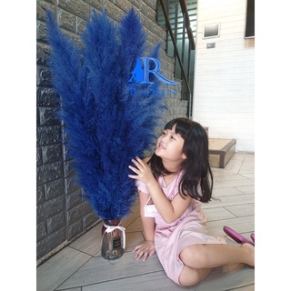 Rarin ดอกเลาย้อม สีน้ำเงิน ( 1 ก้าน) ขนาด 90 cm. เป็นดอกไม้ธรรมชาติ ดอกฟุ้งฟิ้ง ใช้ประดับห้อง งานแต่ง DIY