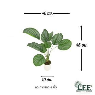 ((ต้นไม้มงคล!)) ต้นคล้าใบตอง สูง 45 ซม. #ต้นไม้ปลอมตกแต่งบ้าน Leeartplants