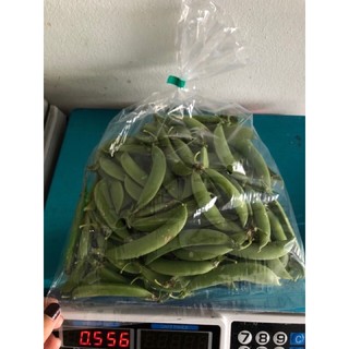 ผักสด- ถั่วลันเตาหวาน ห้องเย็น เบอร์สวย 500 กรัม