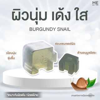 สบู่จิ๊กซอว์ ME【 สูตรผิวนุ่ม เด้ง ใส • BURGUNDY SNAIL 】🐌