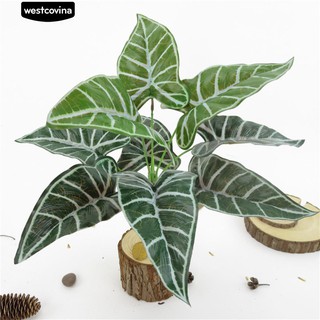 *  Alocasia ใบไม้ประดับ ตกแต่งงานปาร์ตี้ 1 ชิ้น