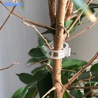 คลิปหนีบต้นไม้มะเขือเทศ 50 ชิ้น