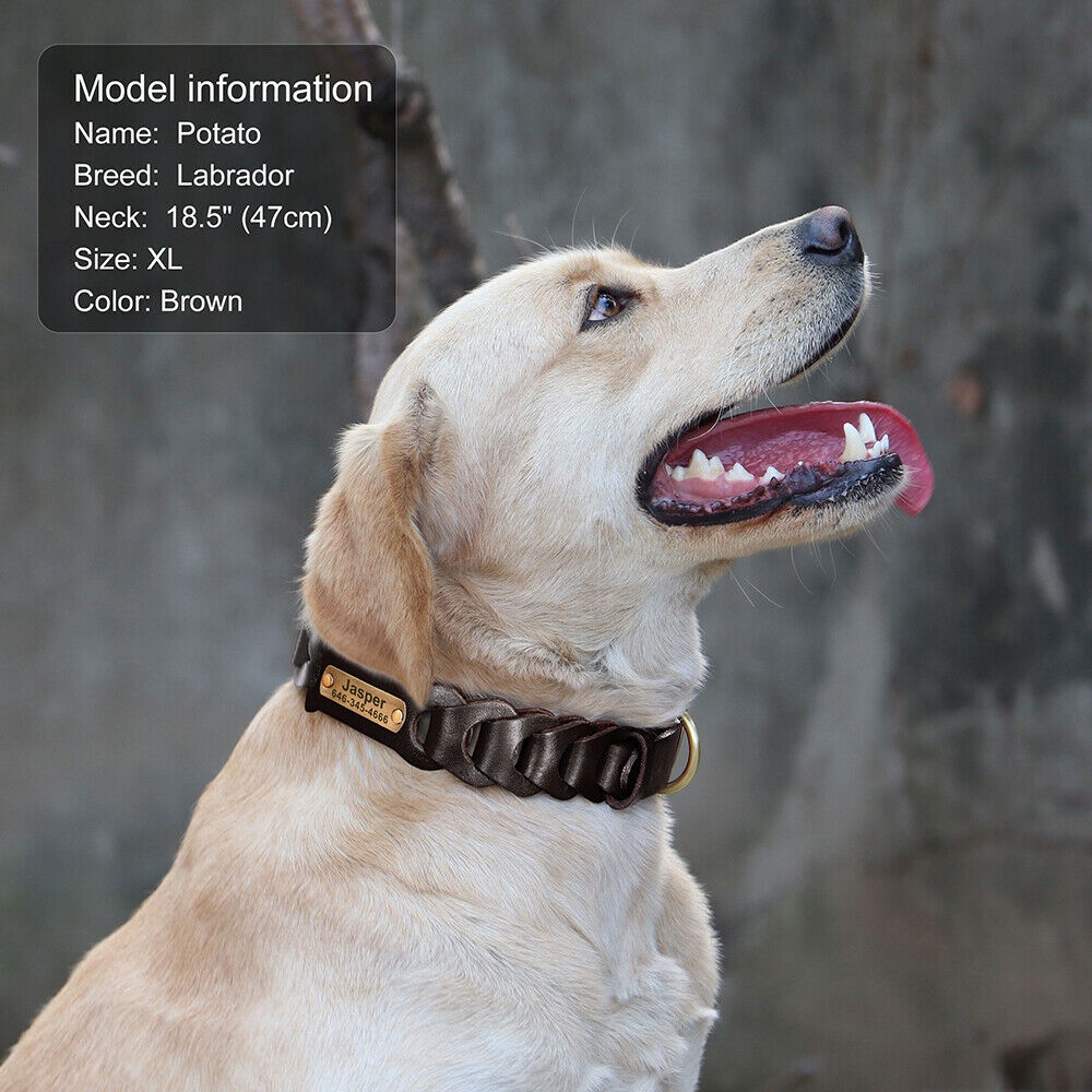 ปลอกคอหนังถัก ID ชื่อเยอรมัน Shepherd Boston L XL สําหรับสัตว์เลี้ยง สุนัข ราคา ถูกที่สุด ดีลบีเคเค แกลเลอรีภาพที่ 9