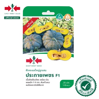 East-West Seed เมล็ดพันธุ์ฟักทอง (Pumpkin seeds) ฟักทองลูกผสม ประกายเพชล็ดพันธุ์ผัก（นี่มันเมล็ดพืช ไม่ใช่พืช!）