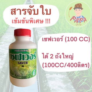 สารจับใบ ยาจับใบ เซฟเวอร์ SAVER จับใบ เพิ่มประสิทธิภาพสารชีวภาพ สูตรเข้มข้น 100 ซีซี ของแท้ 100%