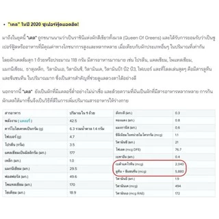 Beanbag superfood Organic Kale Powder เครื่องดื่มซุปเปอร์ฟู้ด ผงผักเคล 100g ออร์แกนิค100% ไม่มีน้ำตาล ไฟเบอร์สูง