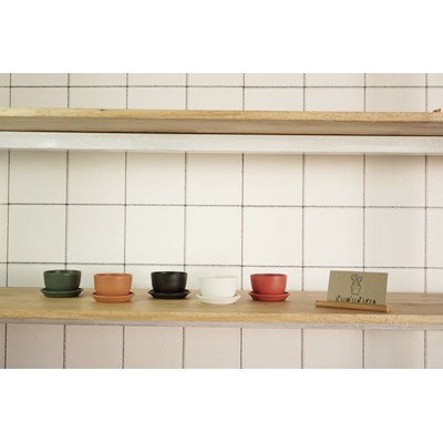 ( PU010 พร้อมถาดรอง ) PU010  กระถางแคคตัส ขนาด 4.5 x 4.5 cm. พร้อมถาดรองเข้าชุด  กระถางกระบองเพชร