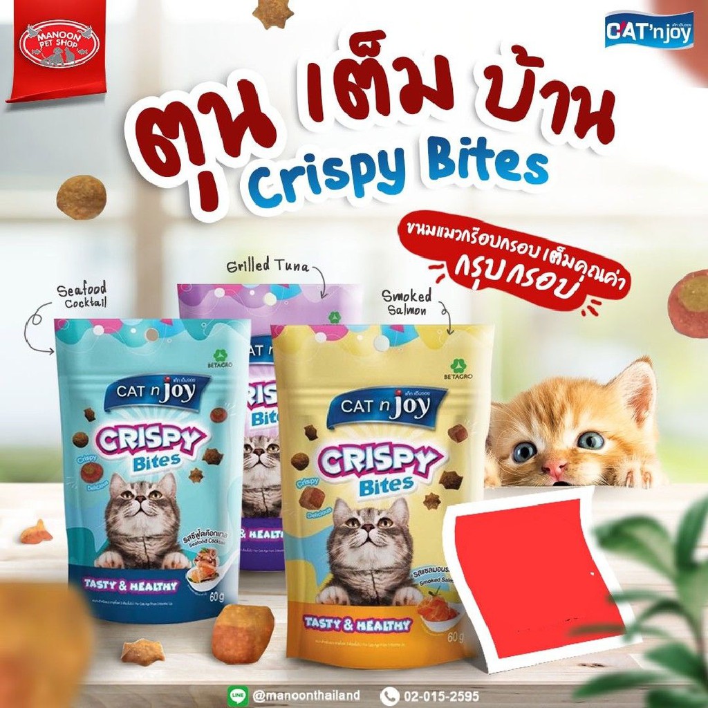 สินค้ารวมส่งฟรี⚡ [MANOON] Cat'njoy Crispy Bites all Flavor 60g แค็ทเอ็นจอย คริสปี้ไบทส์ ขนมสำหรับแมว ❤️ Smoked Salmon🚛COD.เก็บเงินปลายทาง