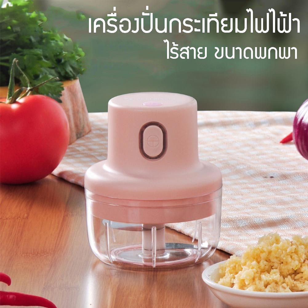 มินิเครื่องปั่น อเนกประสงค์ ปั่นกระเทียม ปั่นพริก ปั่นเนื้อสัตว์ ผลไม้ปั่น เครื่องเคียง [DD]