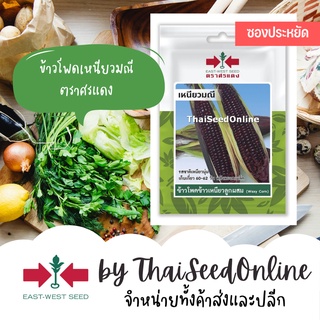 VP3 ซฟ เมล็ดพันธุ์ ข้าวโพดข้าวเหนียวลูกผสม เหนียวมณี 20เมล็ด ตราศรแดง Corn