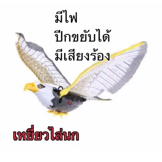 เหยี่ยวไล่นก อินทรีย์ไล่นก