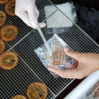 Honey Lemon Slice 100 g เลมอนสไลด์บ่มน้ำผึ้งอบแห้ง พสุธารา ของว่างสุขภาพ สินรอพรีออเดอร์