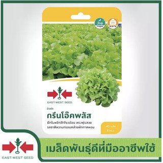 SORNDAENG 🇹🇭ผักซอง ศรแดง S088# กรีนโอ๊คพลัส เมล็ดพันธุ์  เมล็ดพันธุ์ลูกผสม  ผักสวนครัว ผักศรแดง ตราศรแดง