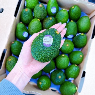 (ปลีก) อะโวคาโด HASS AVOCADO #1 ลูก